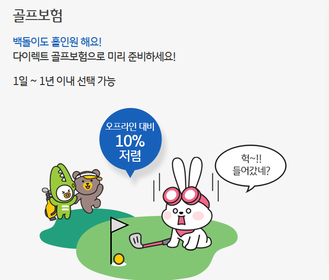 KB골프보험